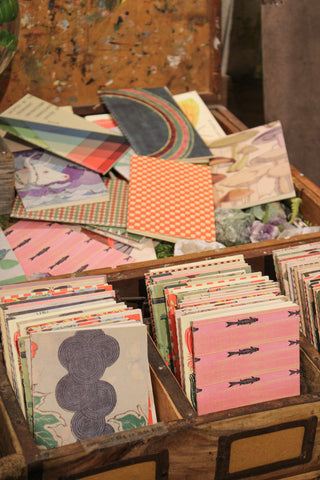Field Journals - Set of 54