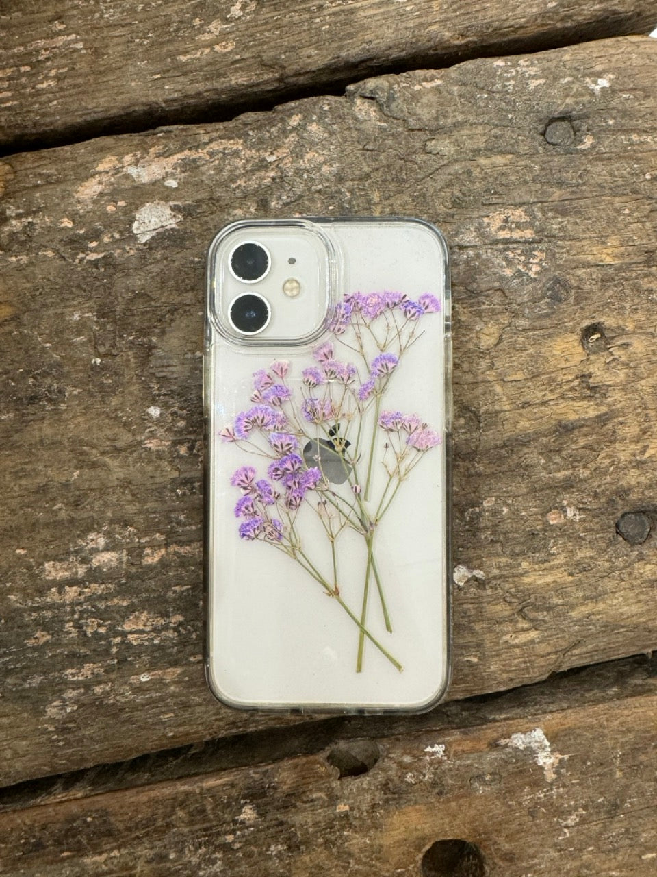 Pressed Botanical Collection - Assorted Set of 60