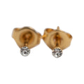 Crystal Stud Tiny Earrings