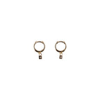 Hoop Earring Collection 1st Edition - Set of 12