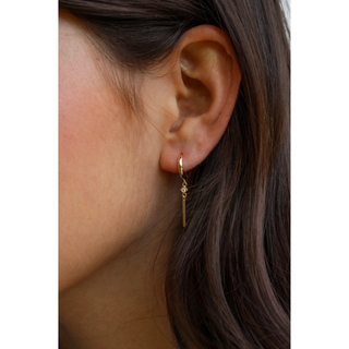 Hoop Earring Collection #1 - Set of 12