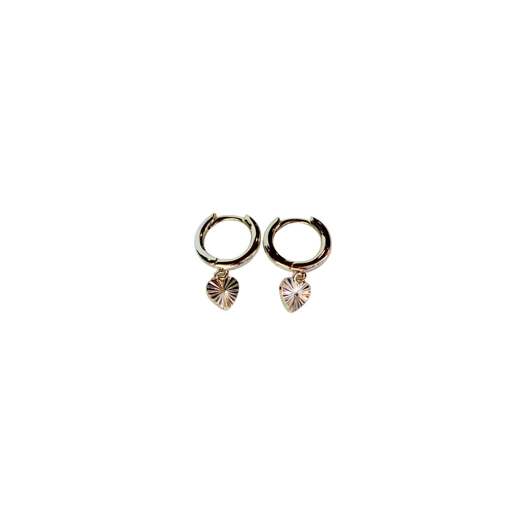 Hoop Earring Collection 1st Edition - Set of 12