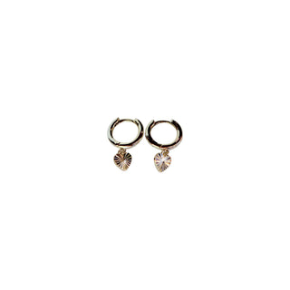 Hoop Earring Collection 1st Edition - Set of 12