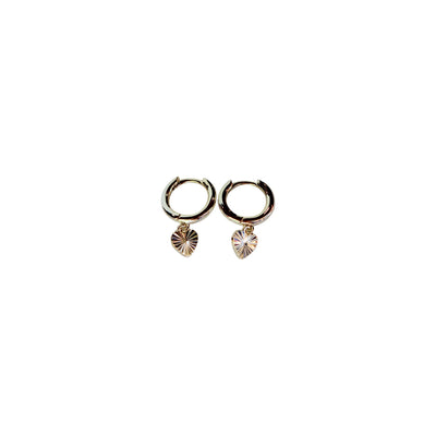 Hoop Earring Collection 1st Edition - Set of 12