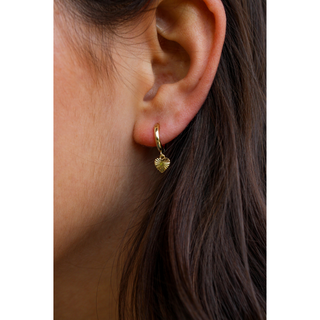 Hoop Earring Collection #1 - Set of 12
