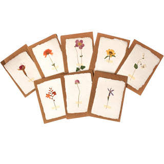 Handmade Paper Cards with Pressed Botanicals – Set Of 32