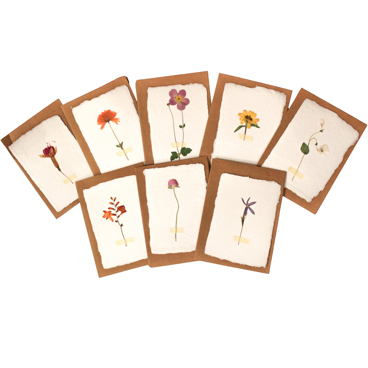 Pressed Botanical Handmade Paper Cards - Set of 32