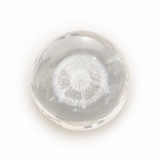 Dandelion Paperweight