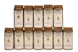 Zodiac Necklace Collection #2 - Set of 12