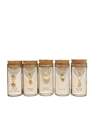 Message in a Bottle buy one give one Necklace Collection #1 -Assorted Set of 10