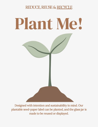 Palo Santo, Sage and Crystal Smudge Jars- Assorted Set of 12