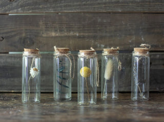 Dried Botanical Bottles - Assorted Set of 5
