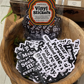 Vinyl Stickers - Assorted Set of 100