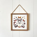 Natural Wood Frame 8x8 w/ Jute
