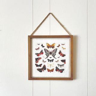Butterfly Cluster - Flora & Fauna Collection - 8x8