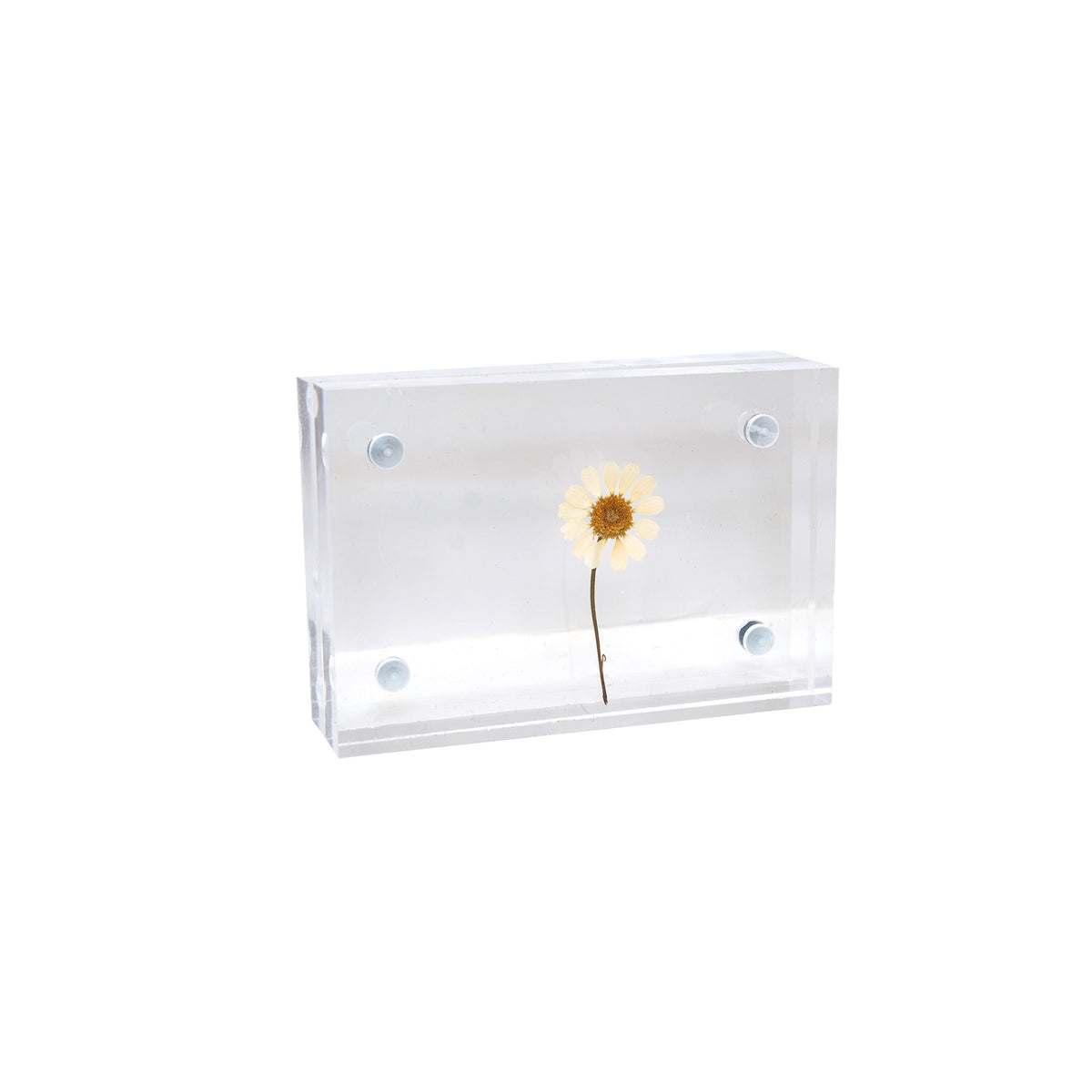 Acrylic Standing Frame 3x2