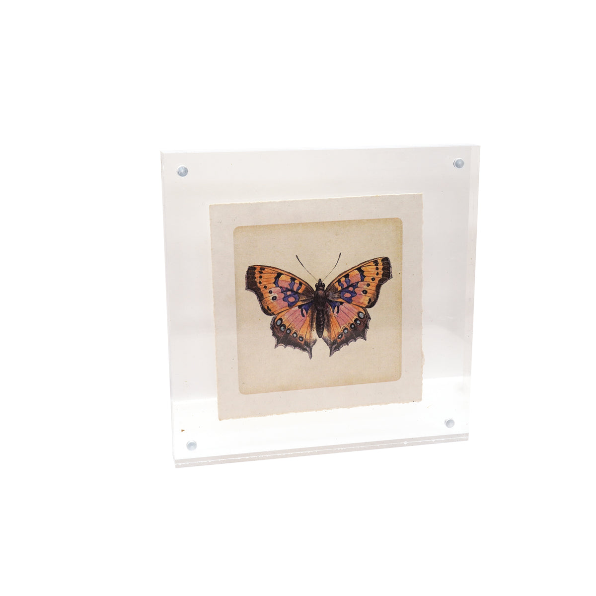 Acrylic Standing Frame 7x7