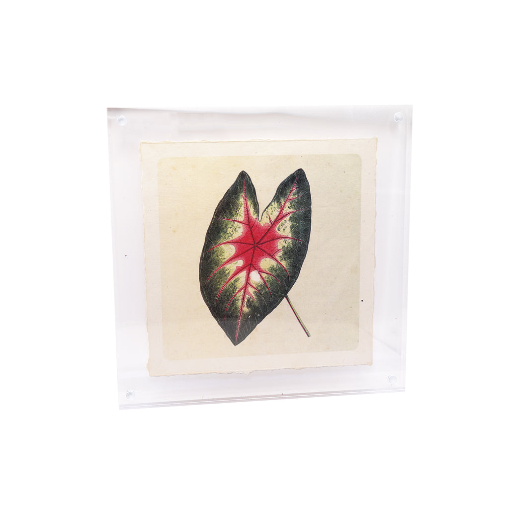 Acrylic Standing Frame 10x10