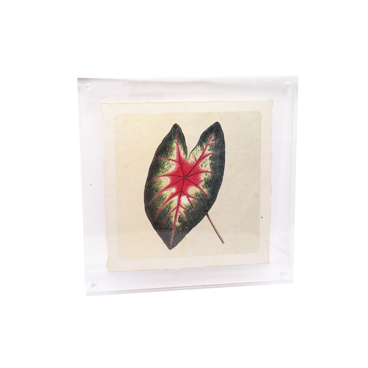 Acrylic Standing Frame 10x10