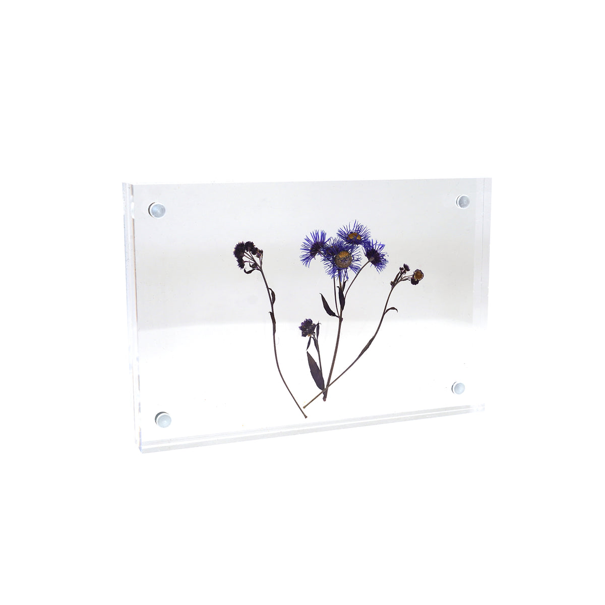 Acrylic Standing Frame 6x4