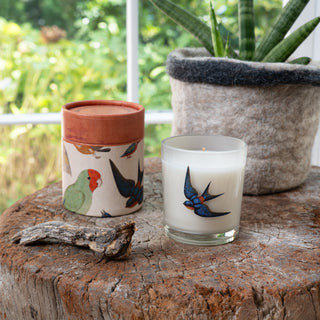 Flora & Fauna Candle Collection Assorted Set of 24