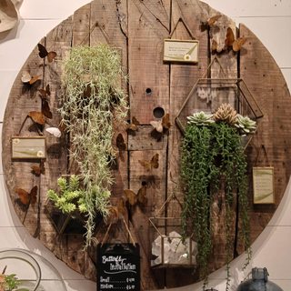 Small Butterfly Installation - Assorted Set of 12