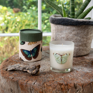 Flora & Fauna Candle Collection Assorted Set of 24