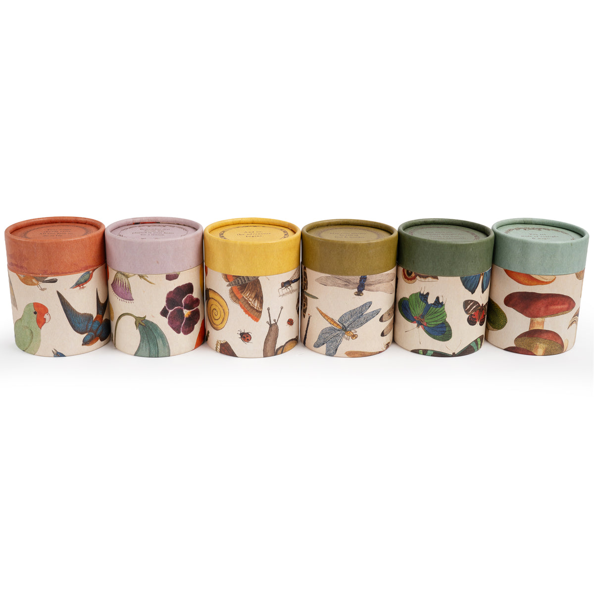 Flora & Fauna Candle Collection - Set of 24