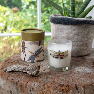 Flora & Fauna Candle Collection Assorted Set of 24