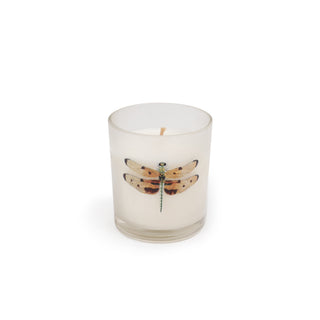 Flora & Fauna Candle Collection Assorted Set of 24