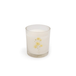 Flora & Fauna Candle Collection Assorted Set of 24