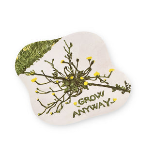 Grow Anyway Adventure Stickers - Set of 12