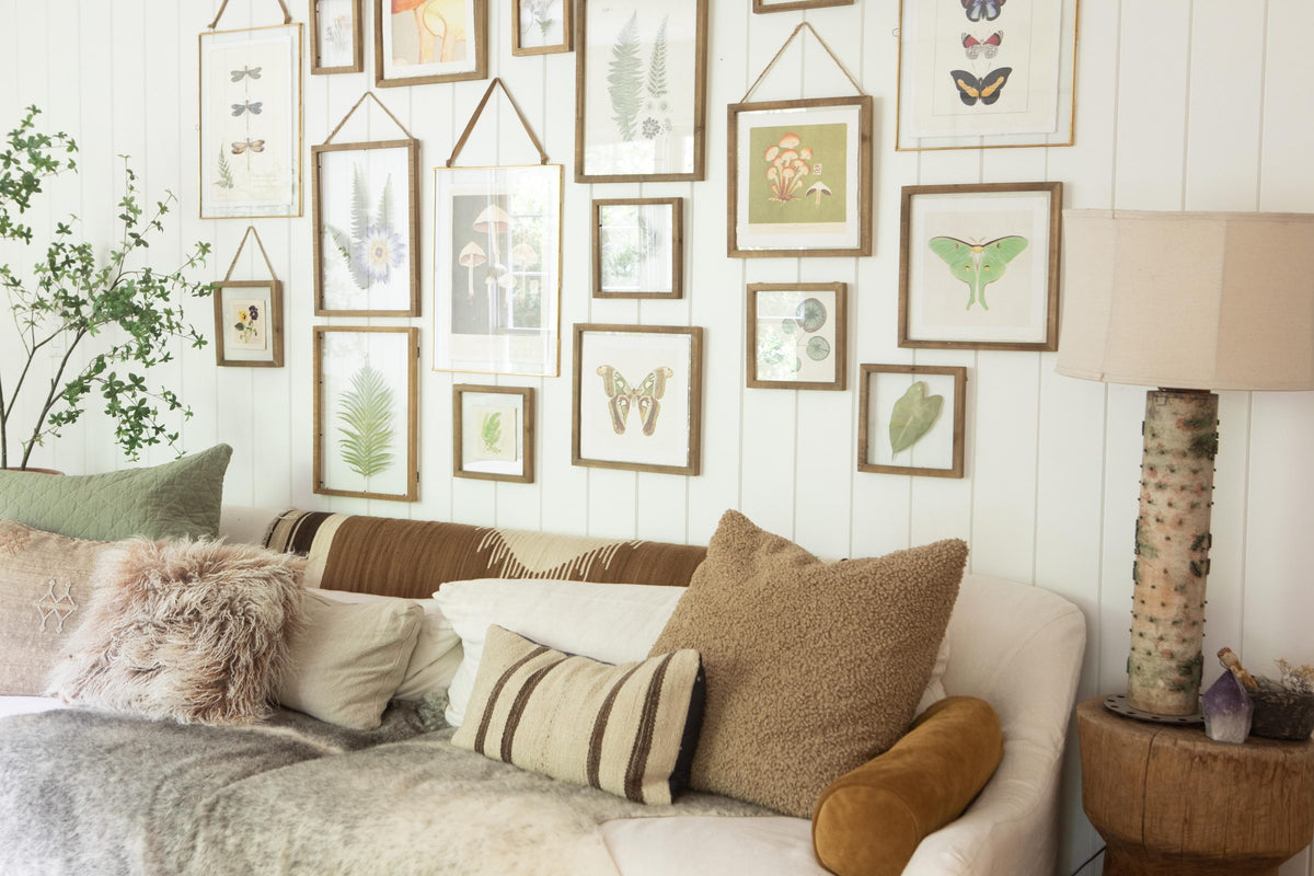 A styled living room scene featuring a cream sofa with textured and striped pillows, a matching throw blanket, and a wall decorated with numerous framed botanical and insect prints.