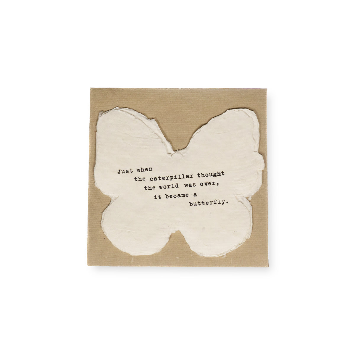 Mini Deckled Butterfly Set of 20-Just When the Caterpillar