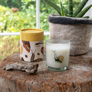 Flora & Fauna Candle Collection Assorted Set of 24