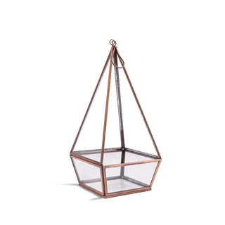 Hanging or Standing Point Glass Terrarium 6" x 12" x 6"