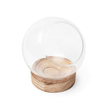 ***Glass Terrarium with Wood Base 7.5"x8"