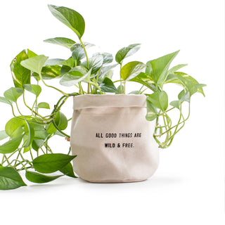 All Good Things Are Wild And Free - Large Canvas Planter