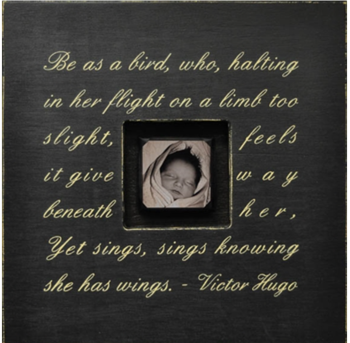 Be as a Bird Photobox