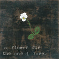 Little White Flower For the One I Love Art Print - Gallery Wrap